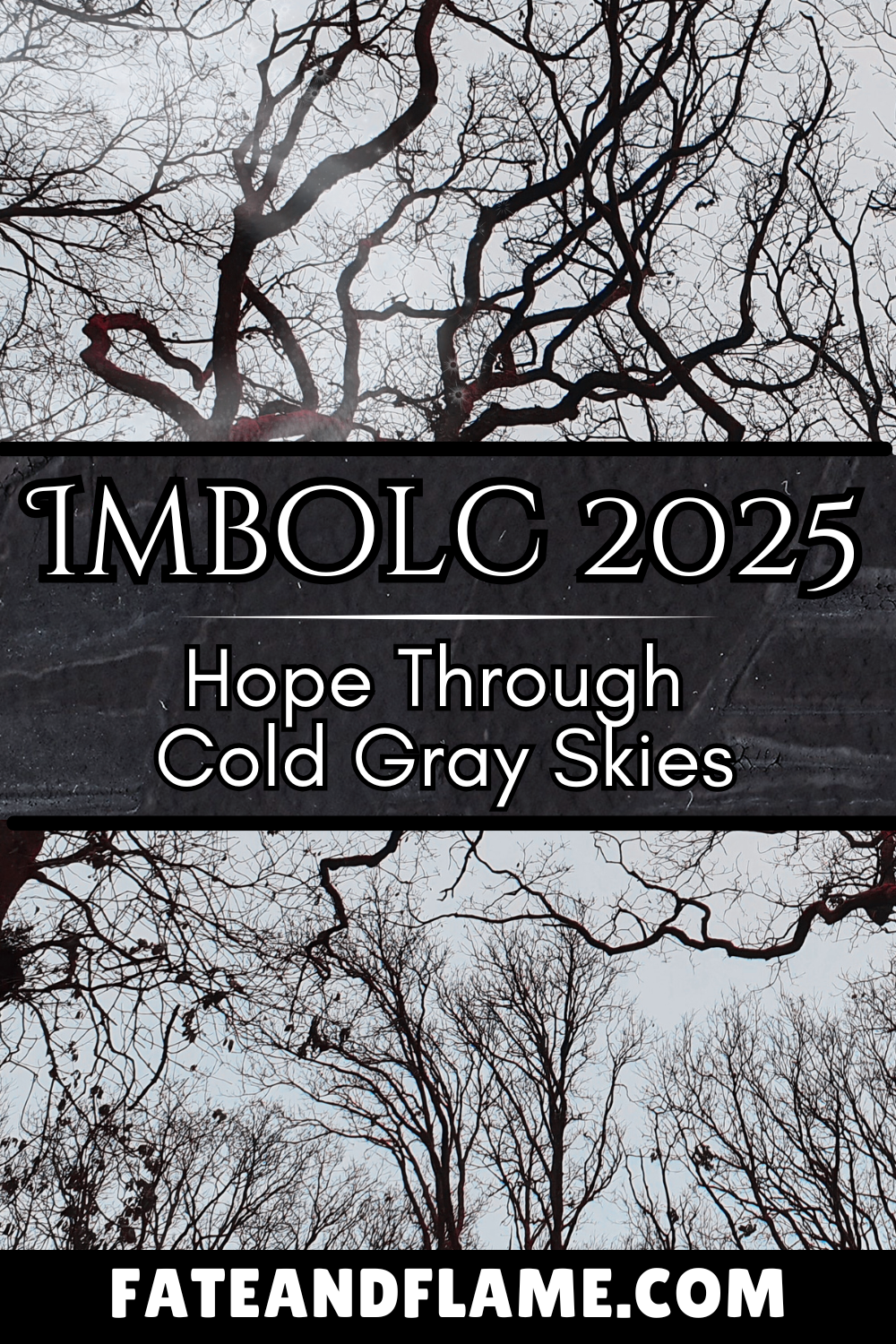 Imbolc 2025 - Hope Through Cold Gray Skies